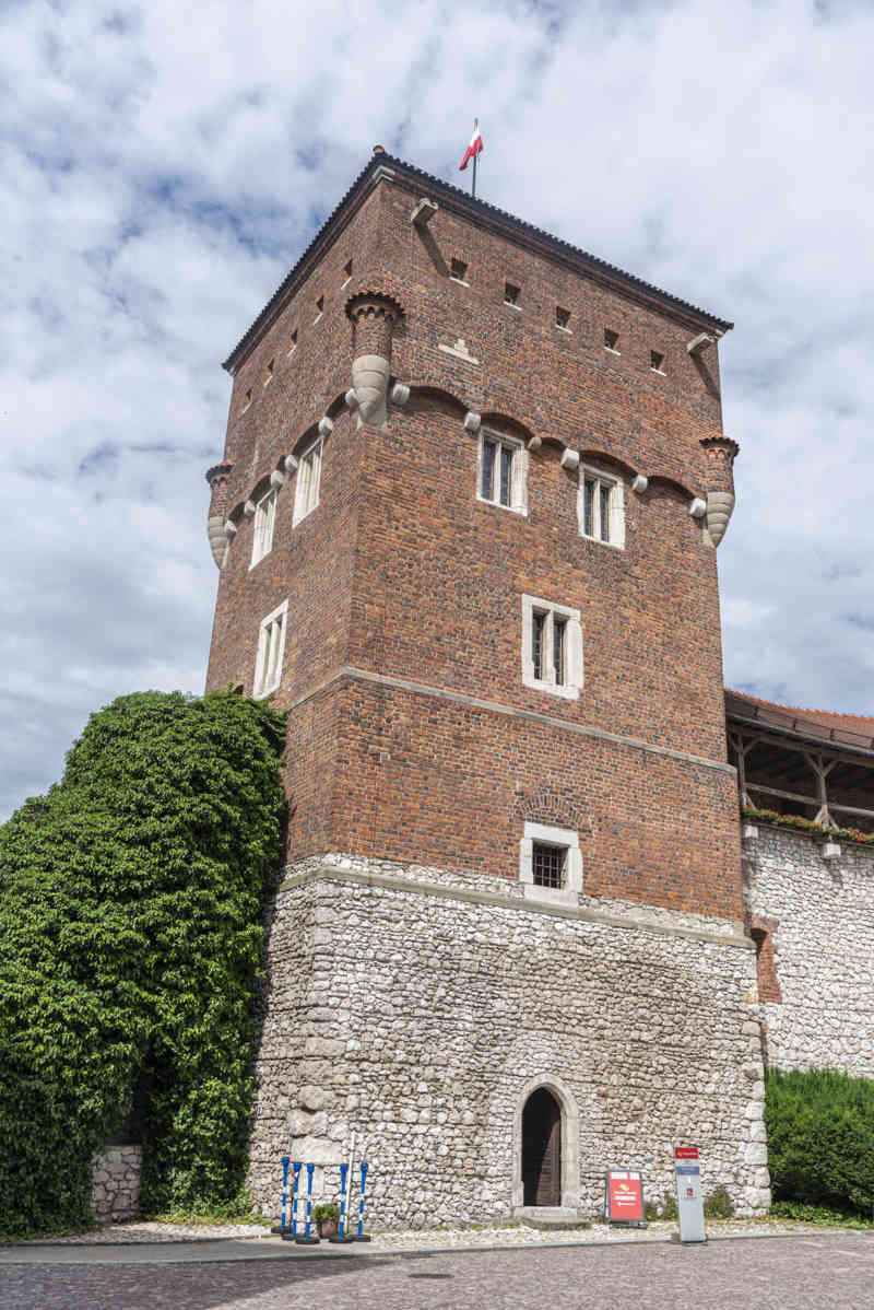 Polonia - Cracovia 051 - colina de Wawel - castillo de Wawel.jpg